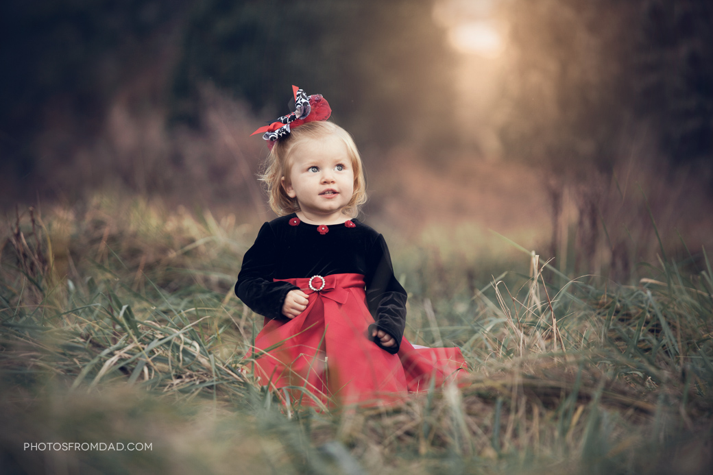 xmas-photos-field-6854-Edit